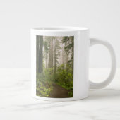 セコイアの間に咲くシャクナゲ ジャンボコーヒーマグカップ (右)