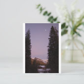 セコイアはがき ポストカード (スタンド正面)