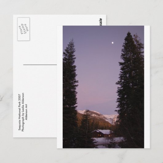 セコイアはがき ポストカード (正面/裏面)