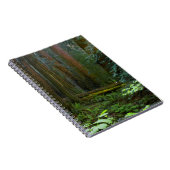 セコイアインミュアウッズ国立公園 ノートブック (右側)