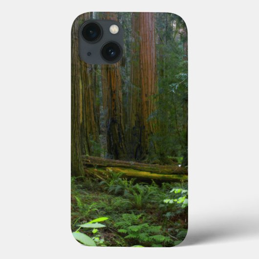 セコイアインミュアウッズ国立公園 Case-Mate iPhoneケース (裏面)