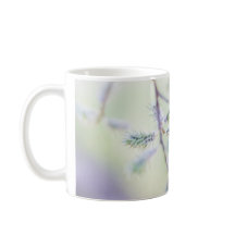 セコイアウィロー