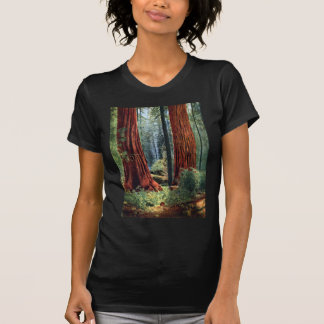 セコイアオスギのトランク Tシャツ