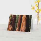 セコイアオスギ カード (黄色い花)