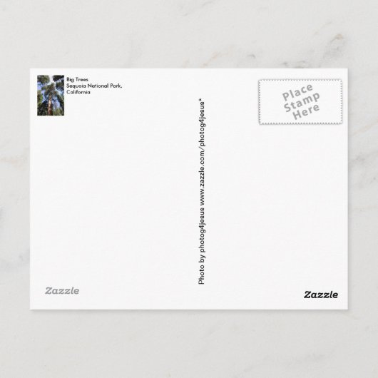 セコイアキングスキャニオン国立公園はがき ポストカード (裏面)