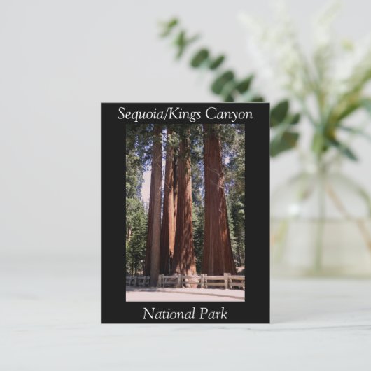 セコイアキングスキャニオン国立公園はがき ポストカード (スタンド正面)