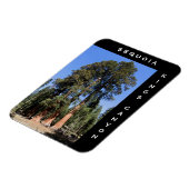 セコイアキングスキャニオン磁石 マグネット (左側)