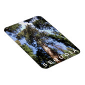 セコイアキングスキャニオン磁石 マグネット (右側)