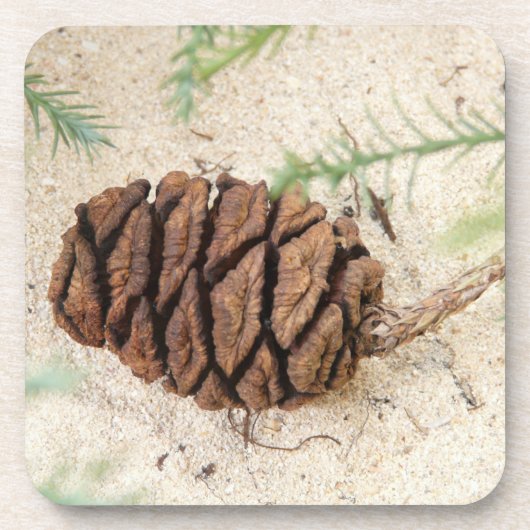 セコイアコーンコルクコースター コースター (正面)