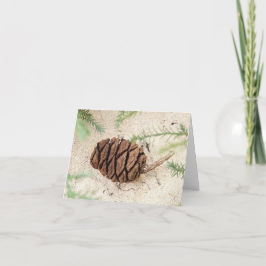 セコイアツリーコーン砂地 カード (正面)