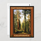 セコイアツリーズアットマリポサグローブ ポストカード (正面/裏面)