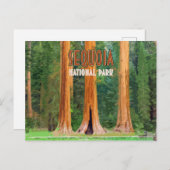 セコイアナショナルパークカリフォルニアヴィンテージ ポストカード (正面/裏面)