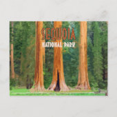 セコイアナショナルパークカリフォルニアヴィンテージ ポストカード (正面)