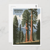 セコイアナショナルパークヴィンテージ ポストカード (正面/裏面)