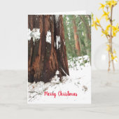 セコイアメリークリスマス挨拶 カード (黄色い花)
