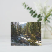 セコイア国立公園のカウェア川 (スタンド正面)