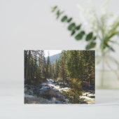 セコイア国立公園のカウェー川 ポストカード (スタンド正面)