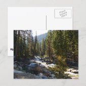 セコイア国立公園のカウェー川 ポストカード (正面/裏面)