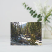 セコイア国立公園のカウェー川 ポストカード (スタンド正面)