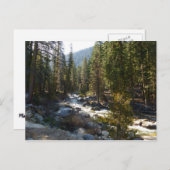 セコイア国立公園のカウェー川 ポストカード (正面/裏面)