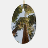 セコイア国立公園のセコイアオスギ セラミックオーナメント (左)