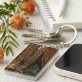 セコイア国立公園のレッドウッドの木。 キーホルダー (正面右)