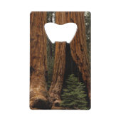 セコイア国立公園のレッドウッドの木。 クレジットカード栓抜き (裏面)