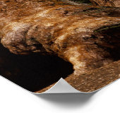 セコイア国立公園のレッドウッドの木。 ポスター (角)