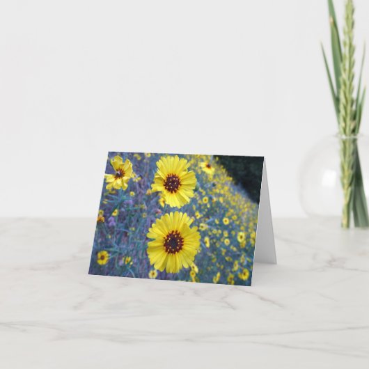 セコイア国立公園の一般的なマディアの花 カード (正面)