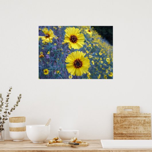 セコイア国立公園の一般的なマディアの花 ポスター (キッチン)