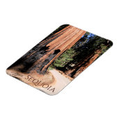 セコイア国立公園の巨大シナモンカラーツリー マグネット (左側)