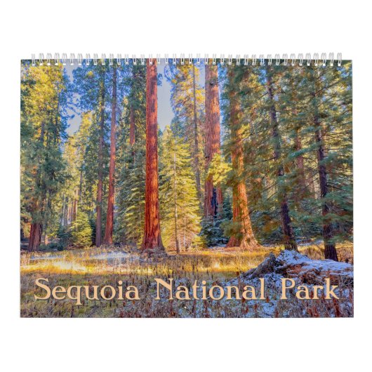 セコイア国立公園の森林の風景 カレンダー (カバー)