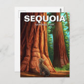 セコイア国立公園カリフォルニアの猫 ポストカード (正面/裏面)