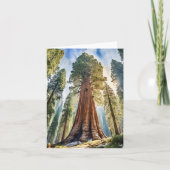 セコイア国立公園カリフォルニアウォーターカラー カード (正面)