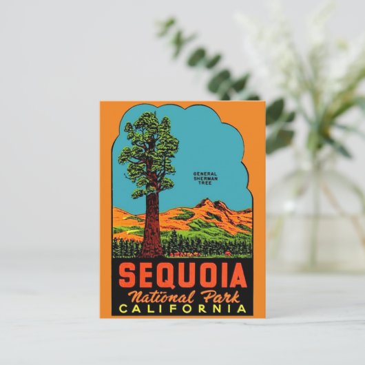 セコイア国立公園カリフォルニアポストカード ポストカード (スタンド正面)
