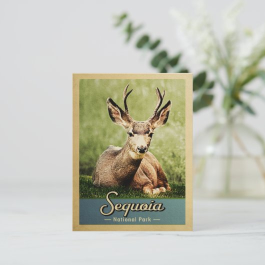 セコイア国立公園ディアヴィンテージトラベル ポストカード (スタンド正面)