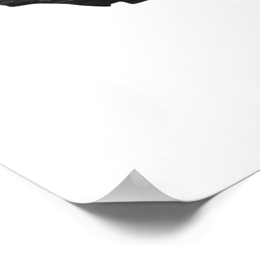 セコイア国立公園木製サイン ポスター (角)