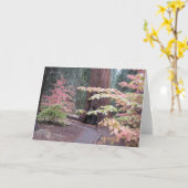 セコイア国立公園 カード (黄色い花)