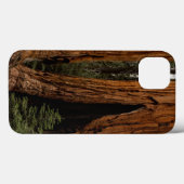 セコイア国立公園,セコイア·ツリーズ Case-Mate iPhoneケース (裏面 (横))