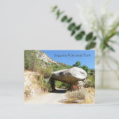 セコイア国立公園/トンネル岩はがき! ポストカード (スタンド正面)