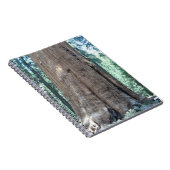 セコイア国立公園 ノートブック (右側)