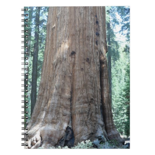 セコイア国立公園 ノートブック (正面)