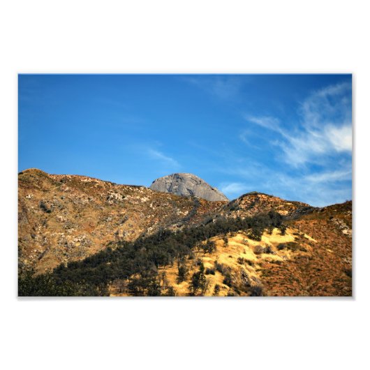 セコイア国立公園 フォトプリント            (正面)