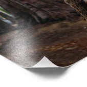 セコイア国立公園 フォトプリント            (角)