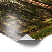 セコイア国立公園 フォトプリント            (角)