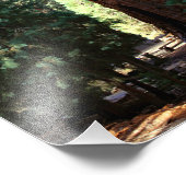 セコイア国立公園 フォトプリント            (角)