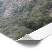 セコイア国立公園 ポスター (角)