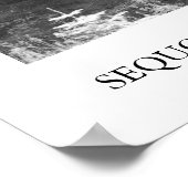 セコイア国立公園 ポスター (角)