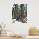 セコイア国立公園 ポスター (キッチン)