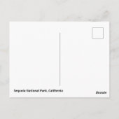 セコイア国立公園 ポストカード (裏面)